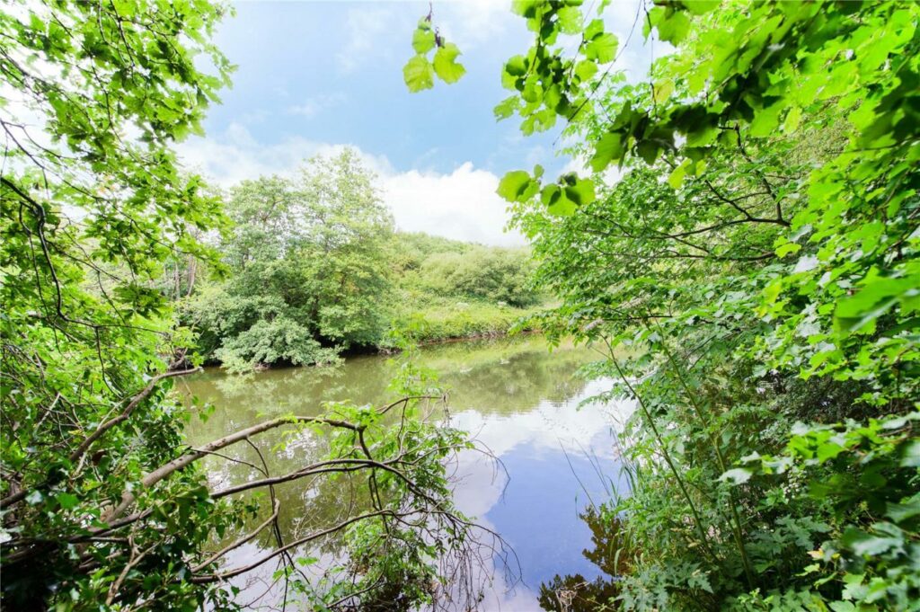 Property for sale on banks of River Severnv