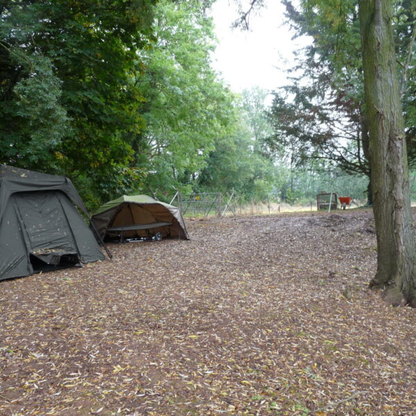 Blueberry Fields exclusive carp fishery near Ledbury in Herefordshire