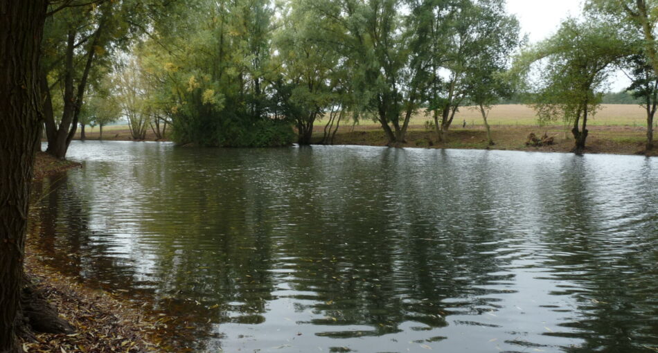 Blueberry Fields exclusive carp fishery near Ledbury in Herefordshire