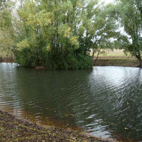 Blueberry Fields exclusive carp fishery near Ledbury in Herefordshire