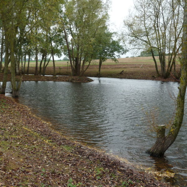 Blueberry Fields exclusive carp fishery near Ledbury in Herefordshire