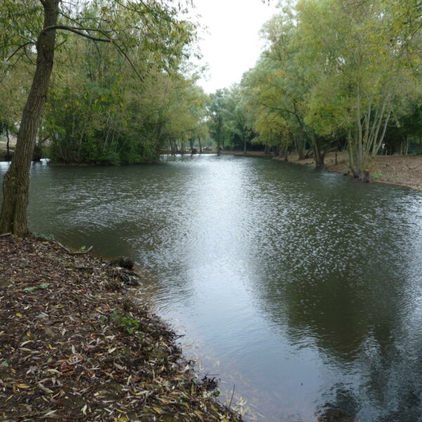 Blueberry Fields exclusive carp fishery near Ledbury in Herefordshire