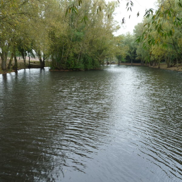 Blueberry Fields exclusive carp fishery near Ledbury in Herefordshire