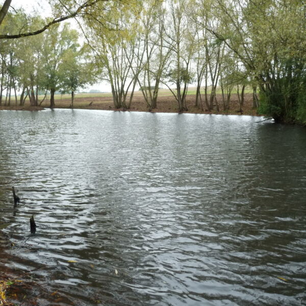 Blueberry Fields exclusive carp fishery near Ledbury in Herefordshire