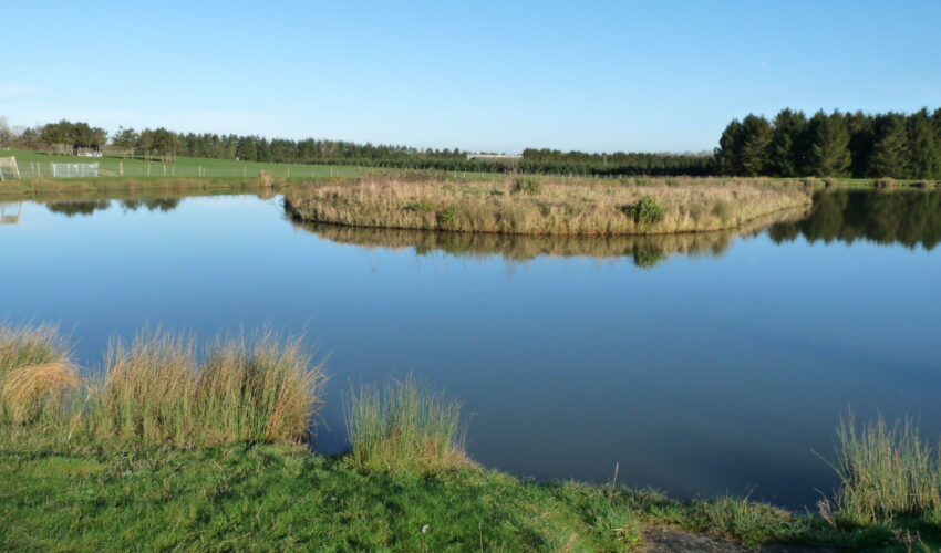 One of Arrow Meadow Fisheries' new lakes at Leigh Sinton