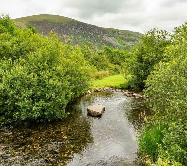 River fishery for sale in North Wales