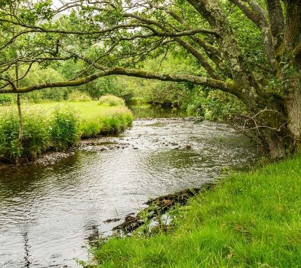 River fishery for sale in North Wales