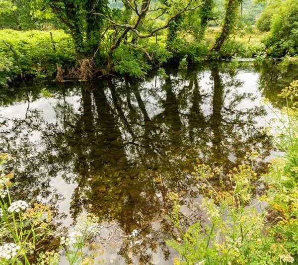 River fishery for sale in North Wales