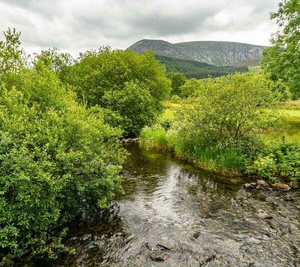 River fishery for sale in North Wales