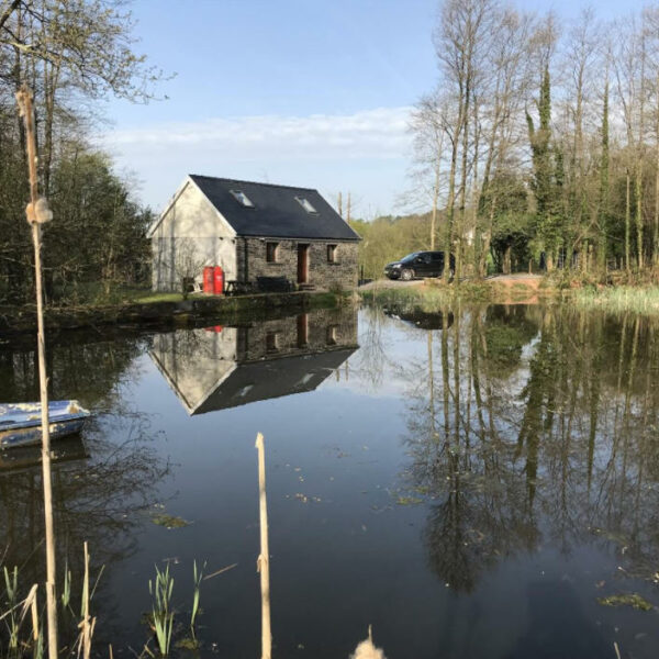 Fishing lake for sale in Trap near Llandeilo