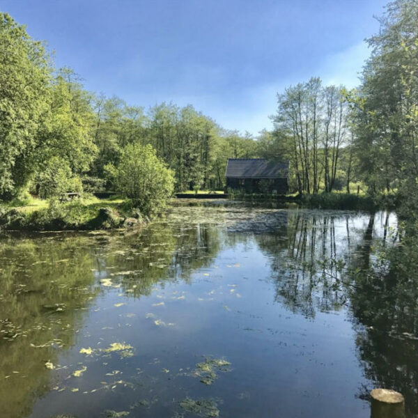 Fishing lake for sale in Trap, Llandeilo