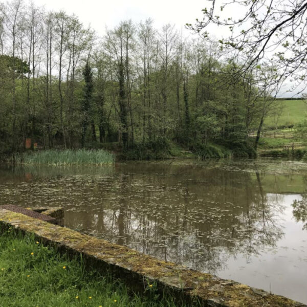 Fishing lake for sale in Trap, Llandeilo