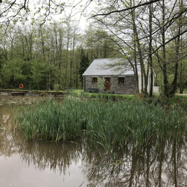 Fishing lake for sale in Trap, Llandeilo