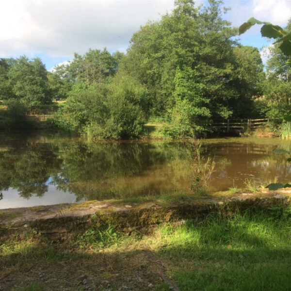 Fishing lake for sale in Trap, Llandeilo