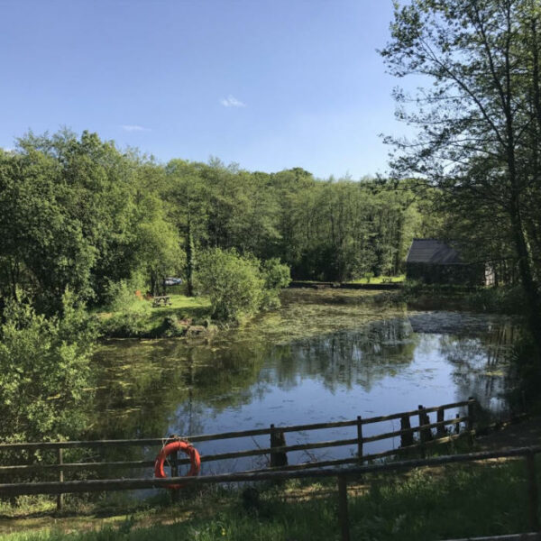 Fishing lake for sale in Trap, Llandeilo