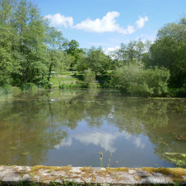 Fishing lake for sale in Trap, Llandeilo