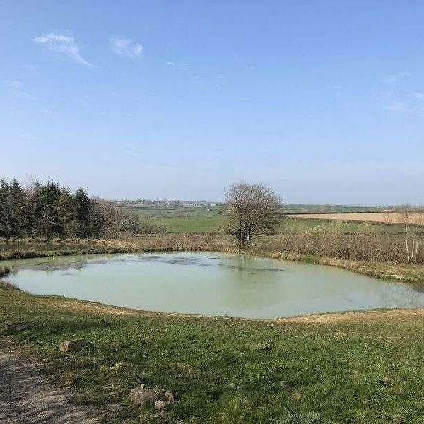 Fishing lakes and land for sale in Chulmleigh, Devon