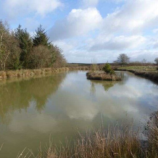 Fishing lakes and land for sale in Chulmleigh, Devon