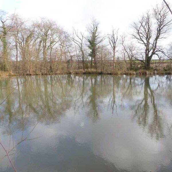 Fishing lakes and land for sale in Chulmleigh, Devon