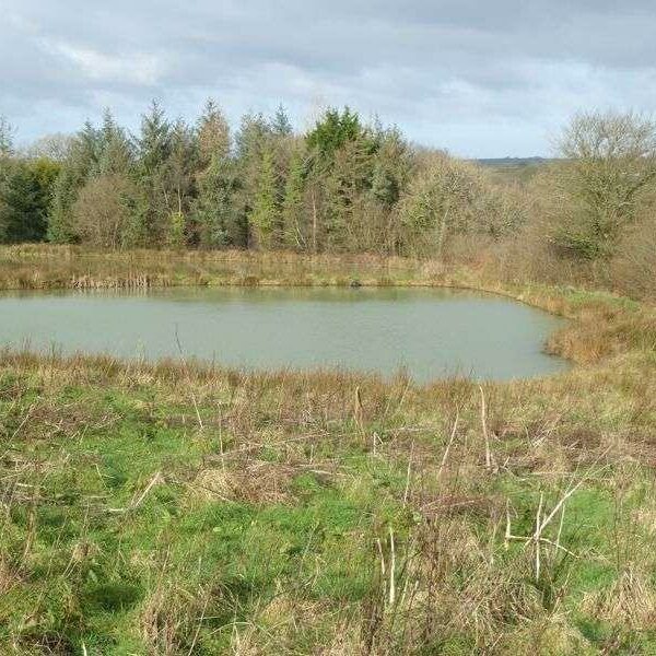 Fishing lakes and land for sale in Chulmleigh, Devon