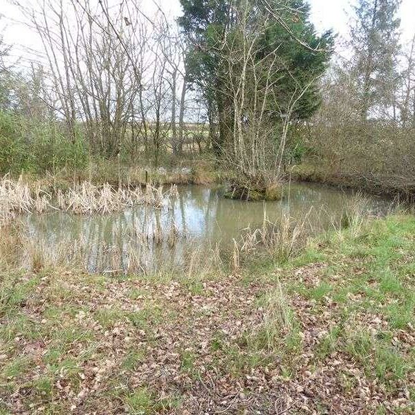 Fishing lakes and land for sale in Chulmleigh, Devon