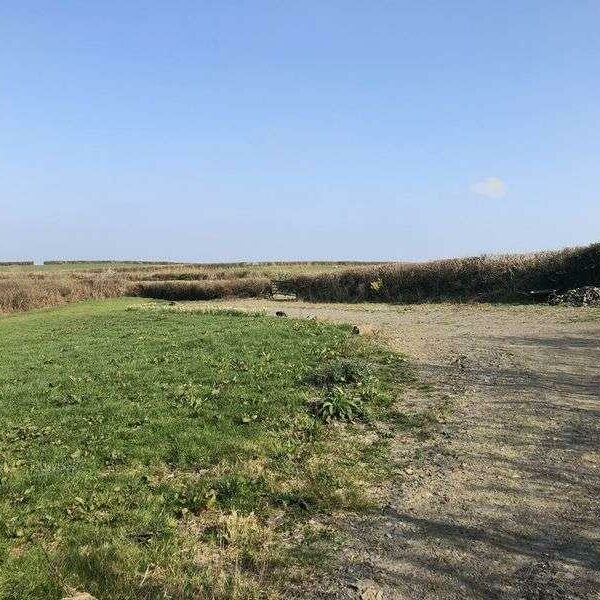 Fishing lakes and land for sale in Chulmleigh, Devon