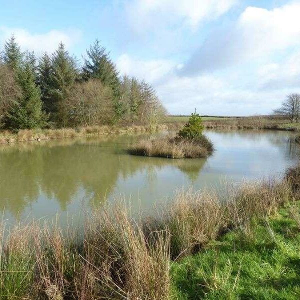 Fishing lakes and land for sale in Chulmleigh, Devon