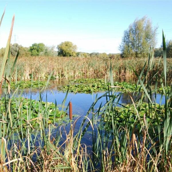 Barbers Bridge land and fishing lakes for sale in Gloucestershire