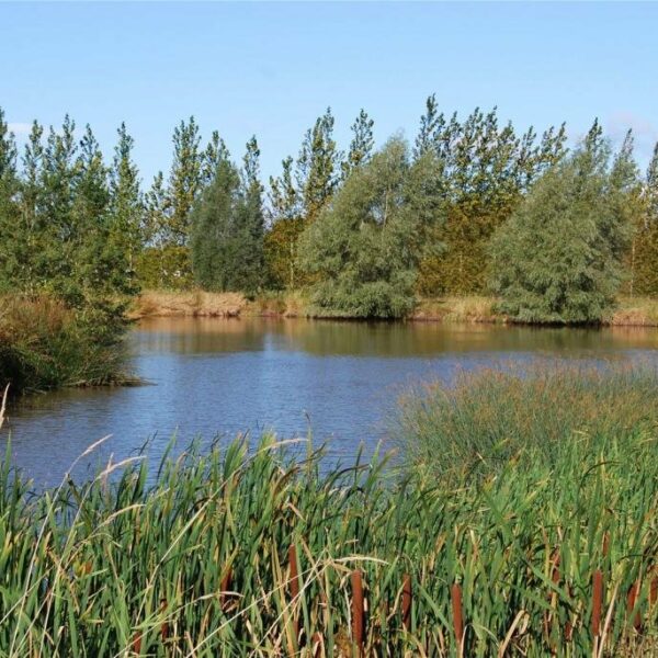 Barbers Bridge land and fishing lakes for sale in Gloucestershire