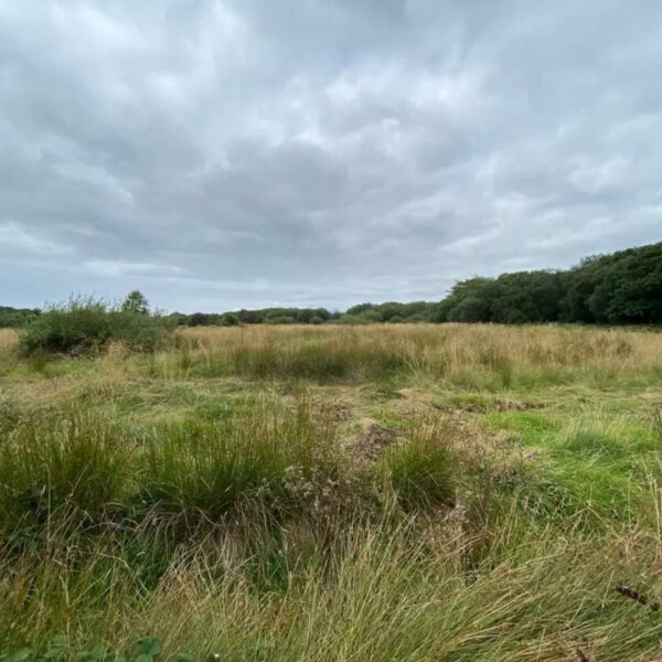 Property with land and lake for sale in Wales