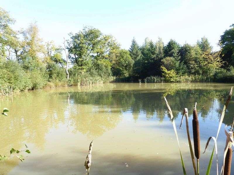 Devon lakes and land for sale