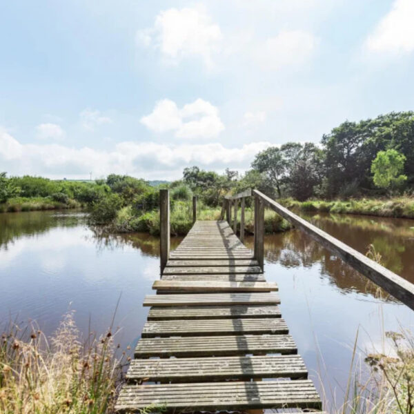 Fishing lake for sale at Lower Hele, Bradworthy, Holsworthy, Devon