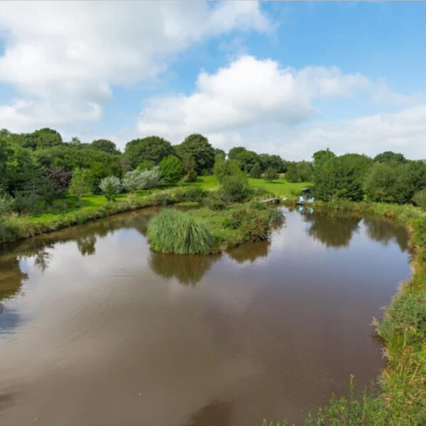Fishing lake for sale at Lower Hele, Bradworthy, Holsworthy, Devon