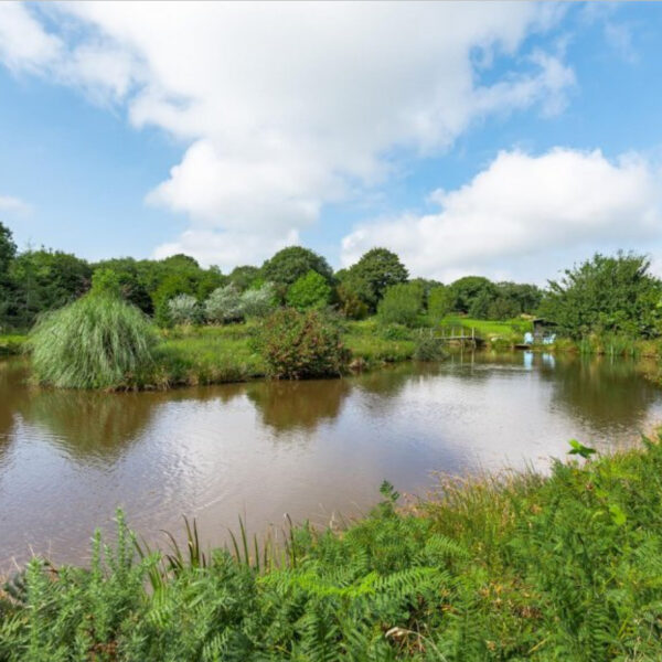 Fishing lake for sale at Lower Hele, Bradworthy, Holsworthy, Devon