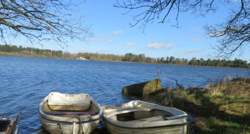 Cropston Angling trout and pike fishing at Leicestershire's Cropston Reservoir