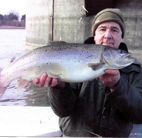 A nice trout from Cropston Angling's trout and pike fishery at Leicestershire's Cropston Reservoir