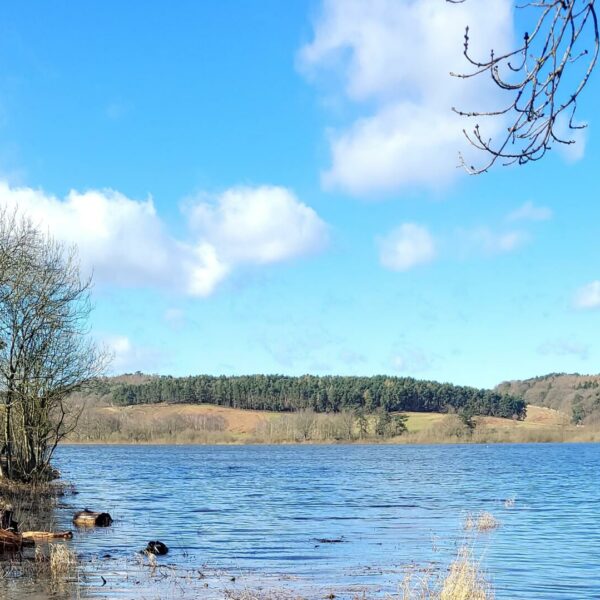 Cropston Angling trout and pike fishing at Leicestershire's Cropston Reservoir