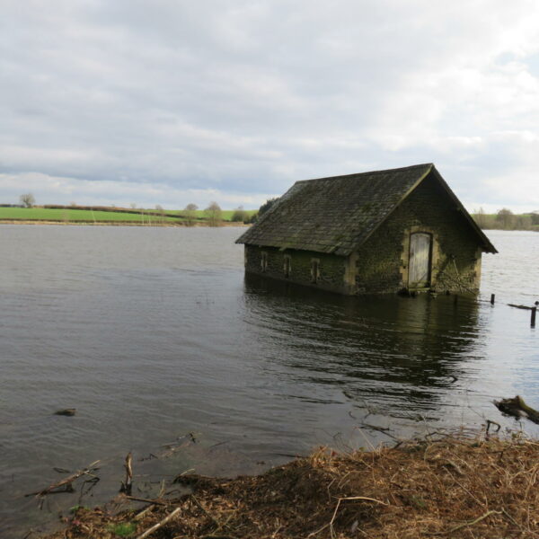 Cropston Angling trout and pike fishing at Leicestershire's Cropston Reservoir
