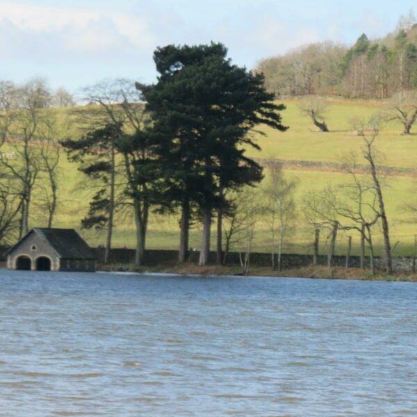 Cropston Angling trout and pike fishing at Leicestershire's Cropston Reservoir