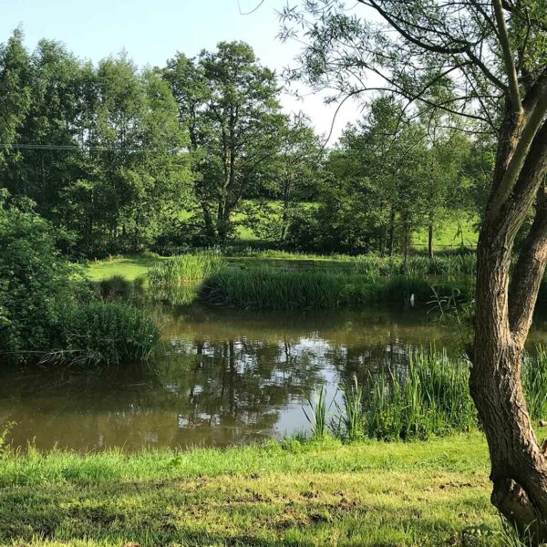 Brookend Fishing Pools