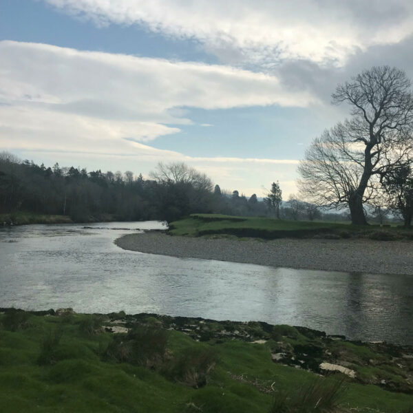 For Sale rod on the Plas Madoc beat on the River Conwy