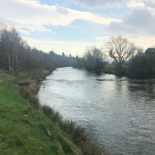 For Sale rod on the Plas Madoc beat on the River Conwy