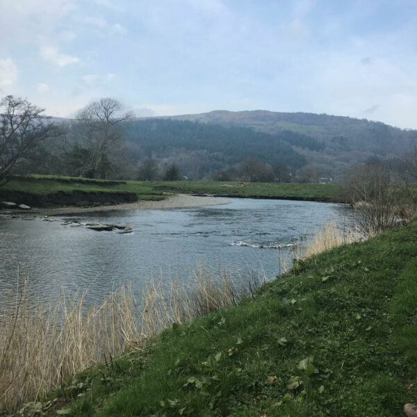 For Sale rod on the Plas Madoc beat on the River Conwy