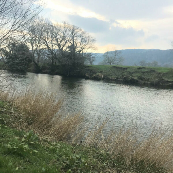 For Sale rod on the Plas Madoc beat on the River Conwy