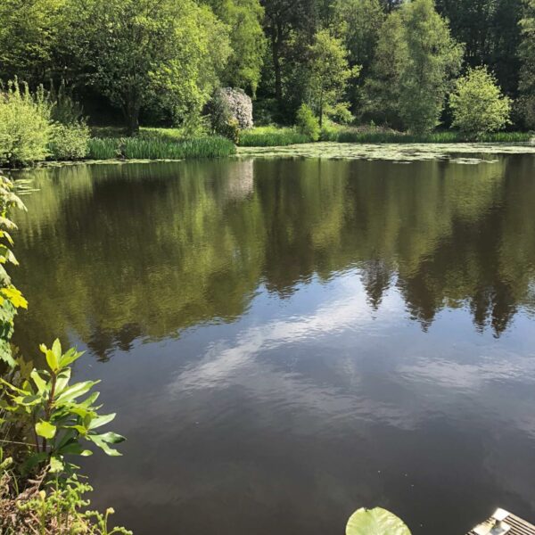 Three bedroom mews property for sale with own fishing lake in Todmorden