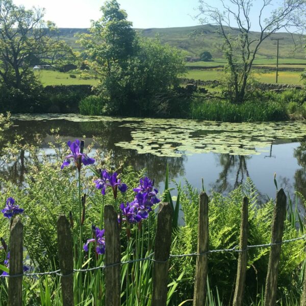 Three bedroom mews property for sale with own fishing lake in Todmorden