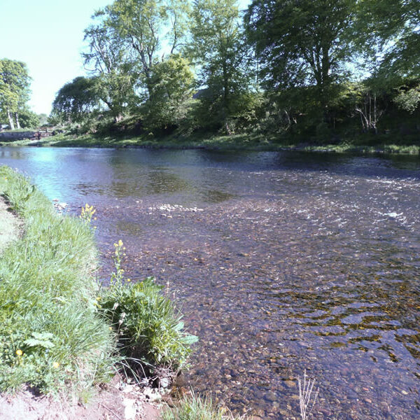 Salmon fishing in Scotland's River North Esk