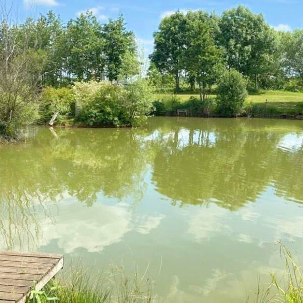 The fishing lake at Elton Barn Fishery and Retreat in Elton Nottinghamshire