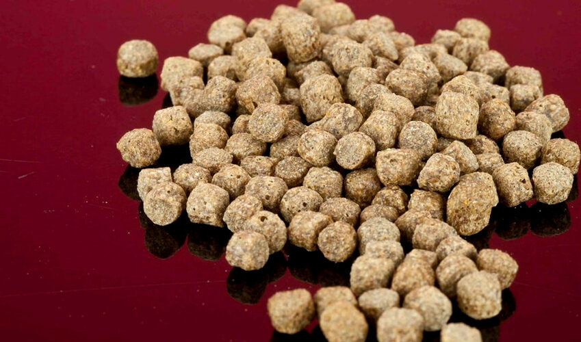 Fishing pellet prices look set to soar