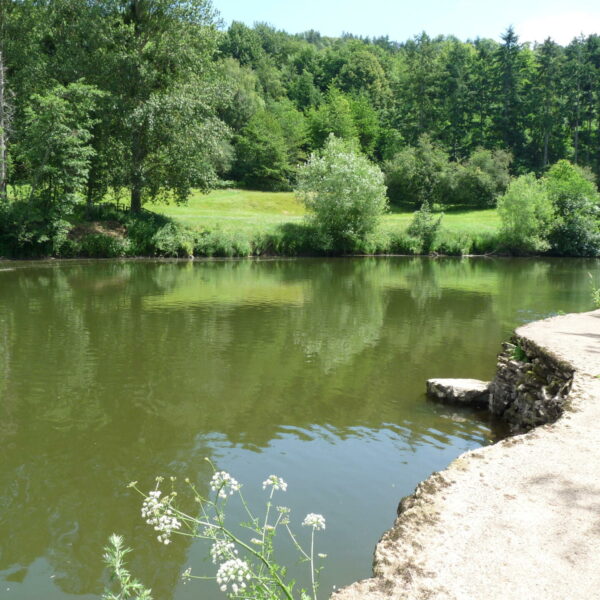 The Fish House Wall at Ingestone Fishery at Foy in Herefordshire